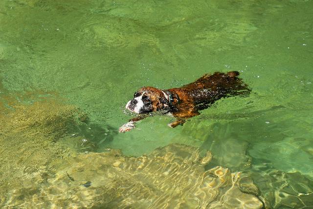Coming ashore