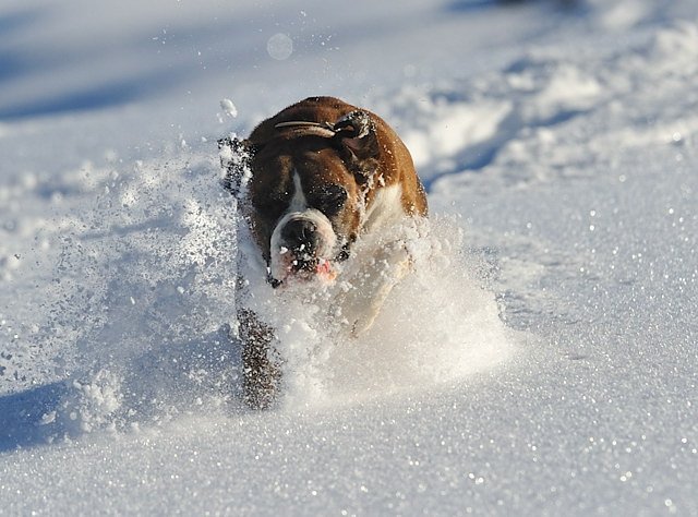 Coming through