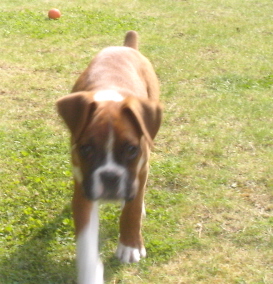 Coming to get you !!