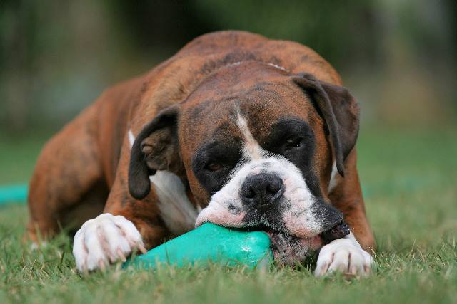 Concentration