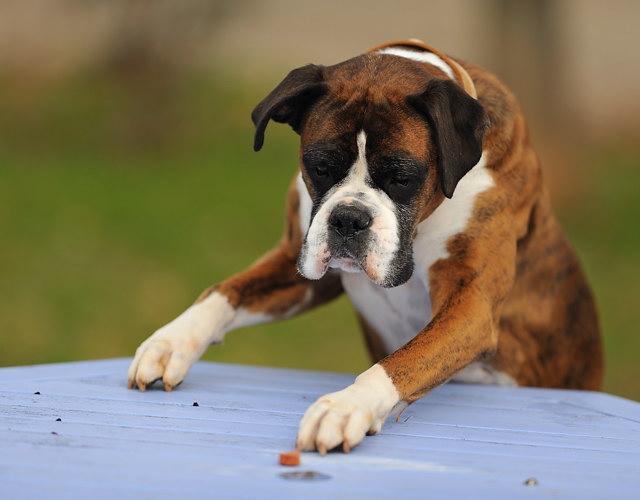 Concentration