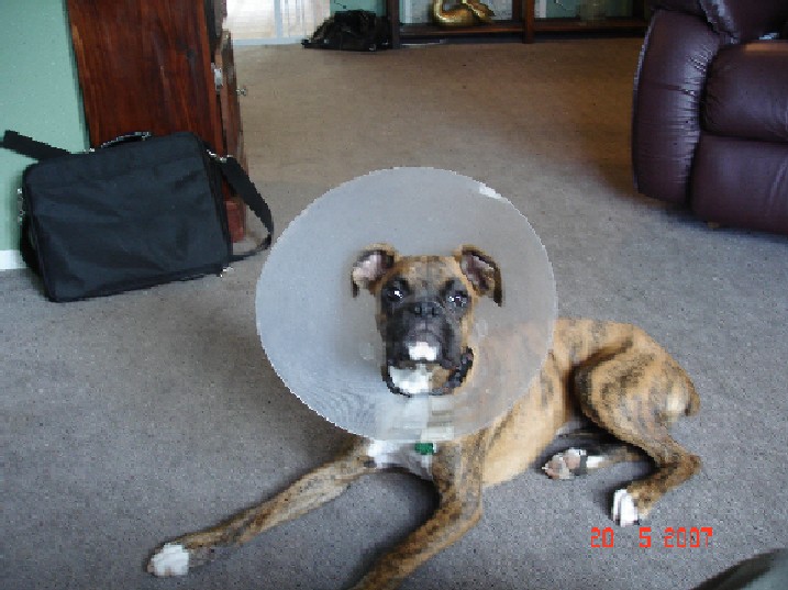 Cone
