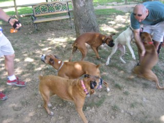 Connecticut Bash August 13, 2006