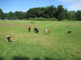 Connecticut Bash August 13, 2006
