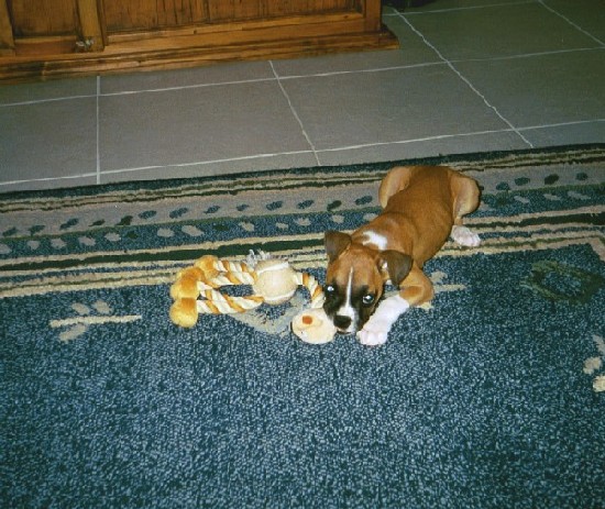 connor_10wksa