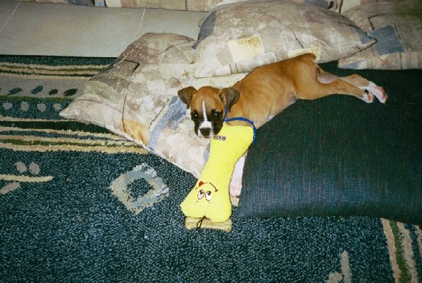 connor_9_weeks