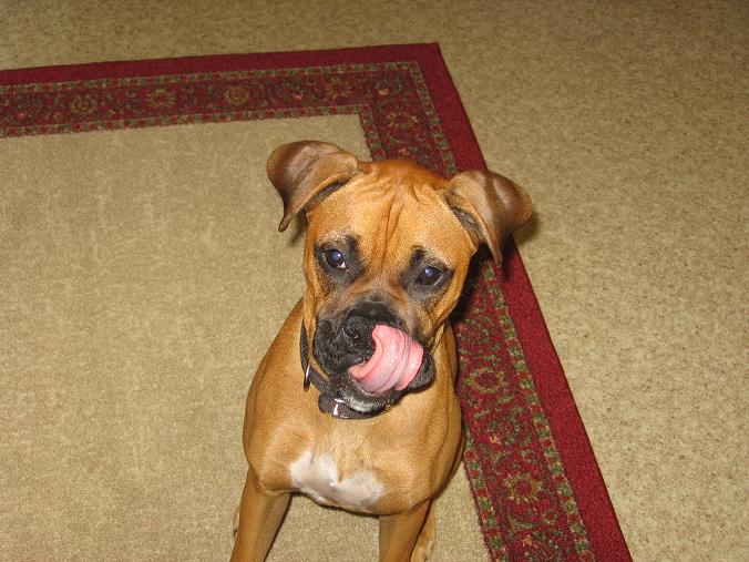 Cookie crumbs on my nose?
