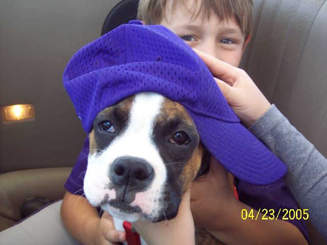 Cool dude!