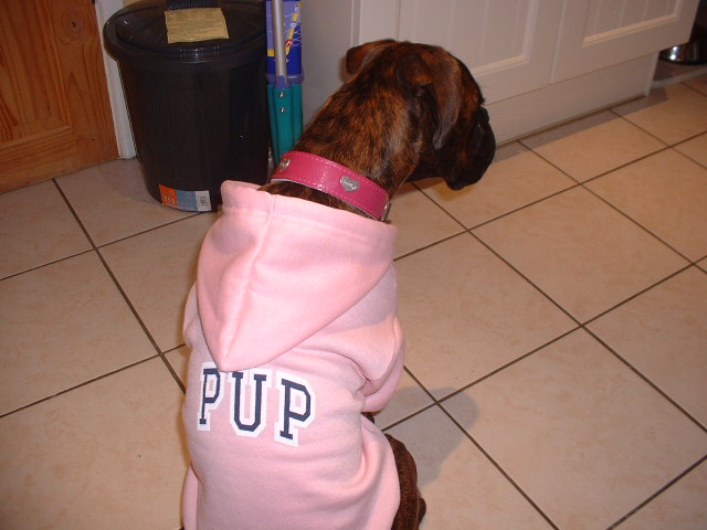 Cool Lola