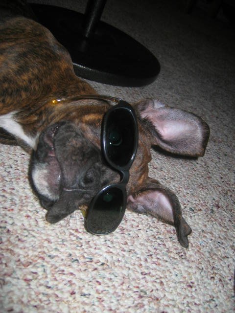 Cool Molly!!