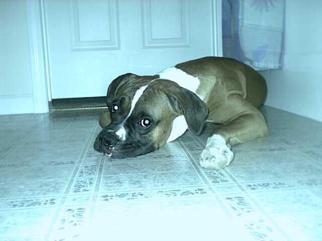 cool on the floor