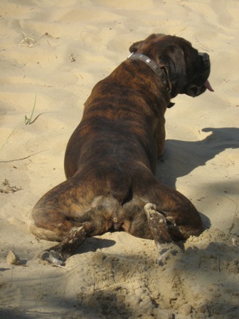 Cool sand on a hot day at the beach