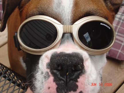 Cool Zoey!
