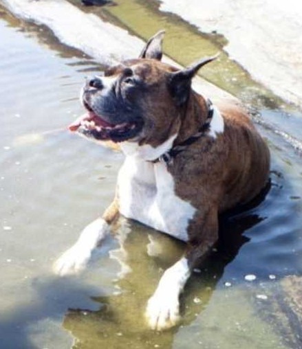 Cooling down in Maine