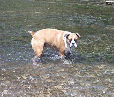 cooling down