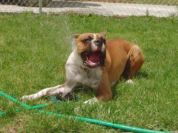 Cooling Down!