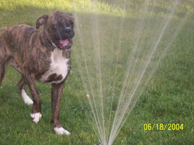 Cooling down