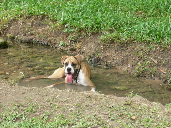 Cooling off