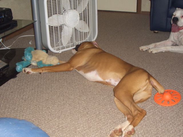 Cooling off