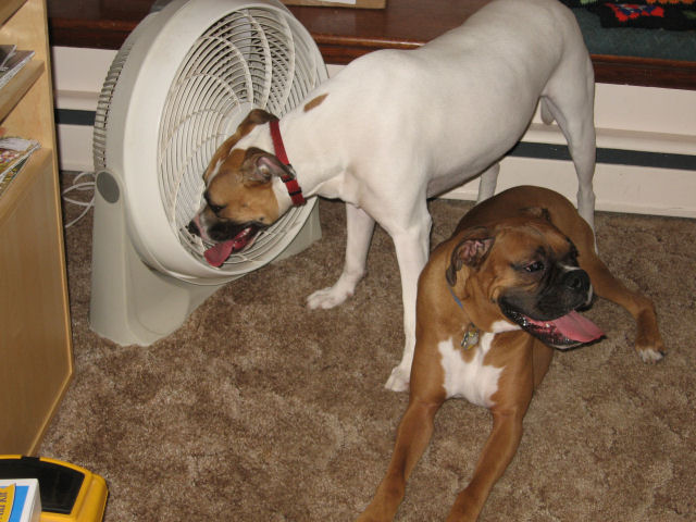 Cooling Off