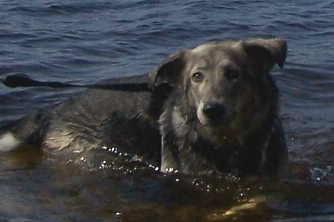 Cooling_off