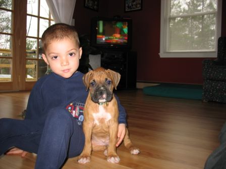 Cooper and Cohen
