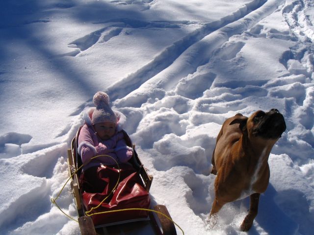 Cooper and Olivia out back