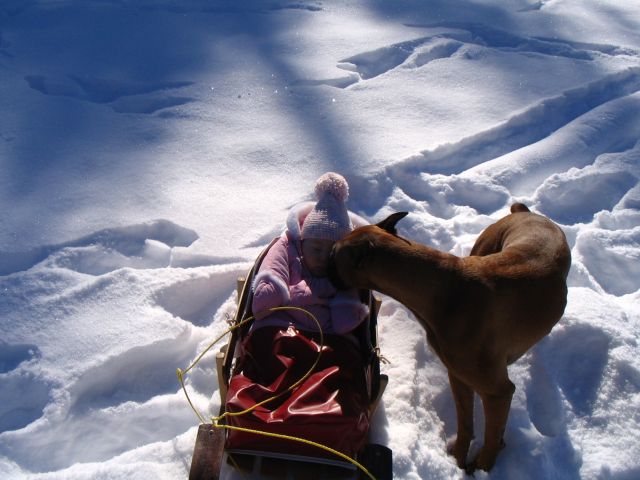 Cooper and Olivia sledding
