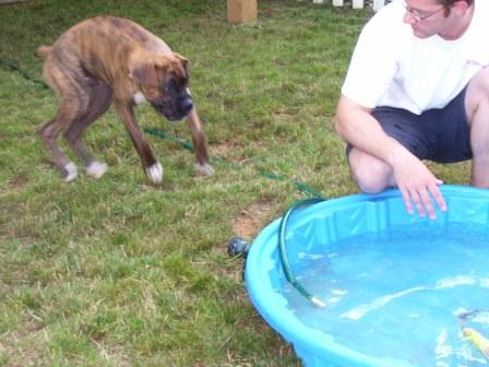 Cooper being splashed