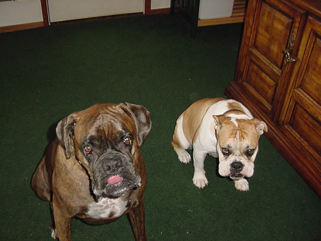 Cooper & Emma