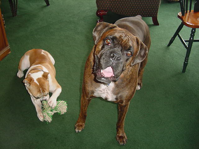Cooper & Emma