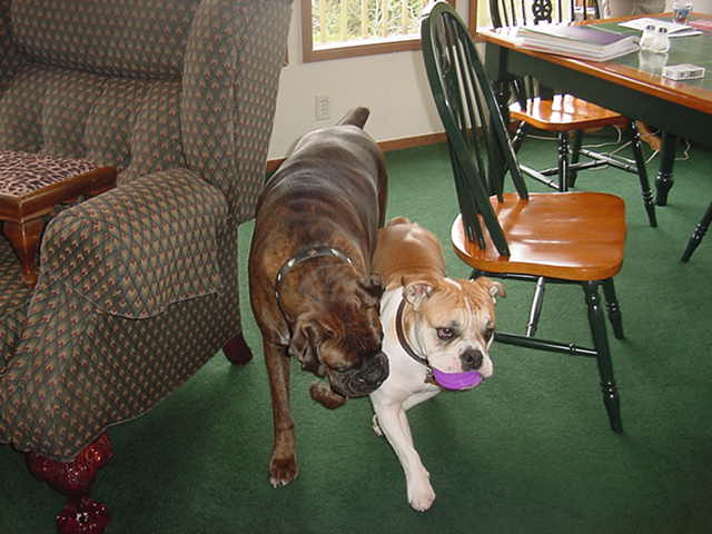 Cooper & Emma