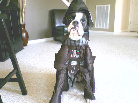 Cooper Halloween 2008