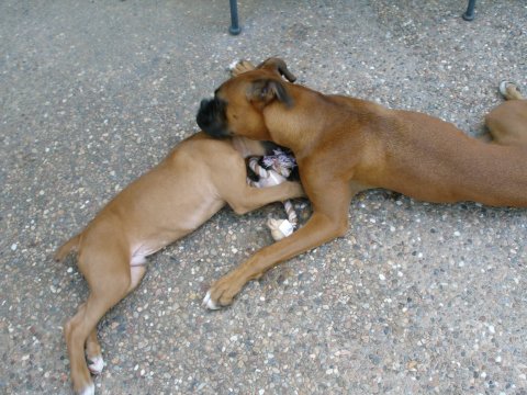 Cooper looks for every opportunity to snuggle with his brother