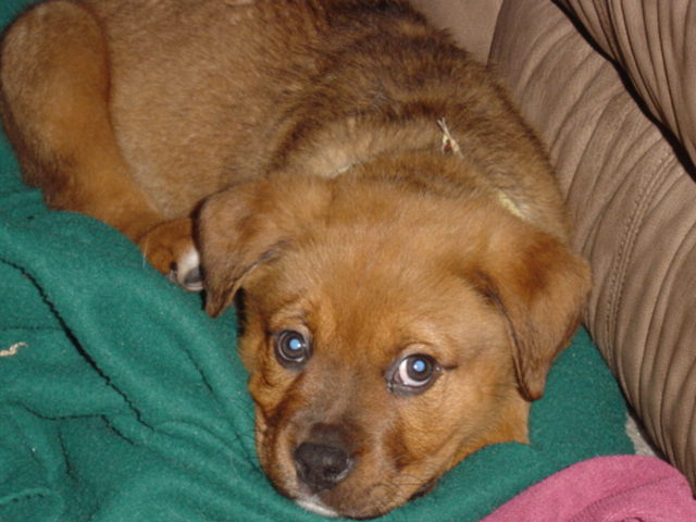 Cooper New Years Day