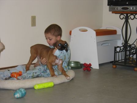Cooper playing with Bro