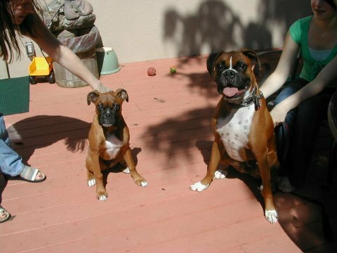 Cooper with his big brother