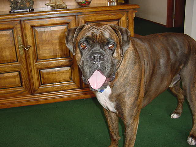 Cooper