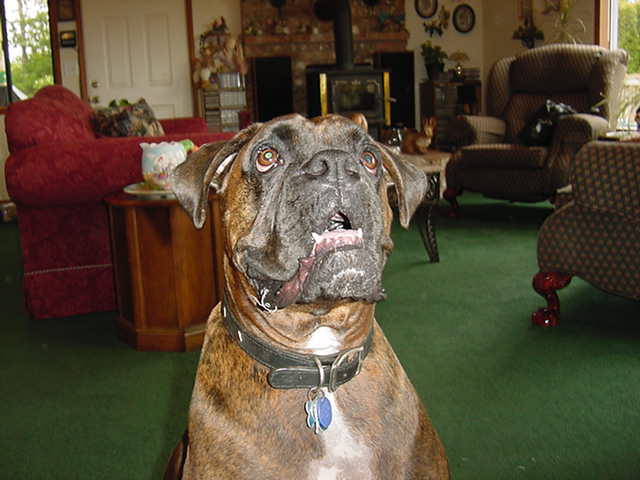 Cooper