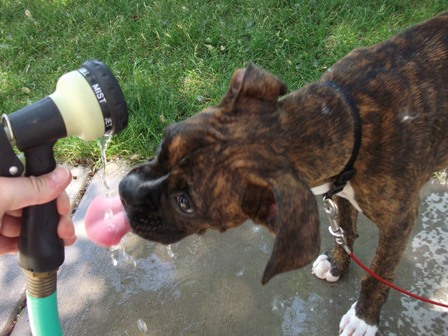 Cooper_052_Resize