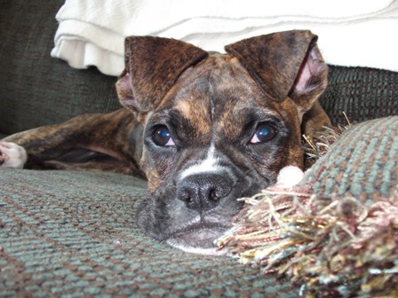 Cooper_060_Resize