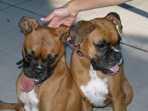 Cooper_and_Mindy