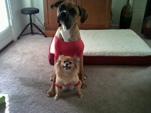 cooper_and_winston_with_shirts_on