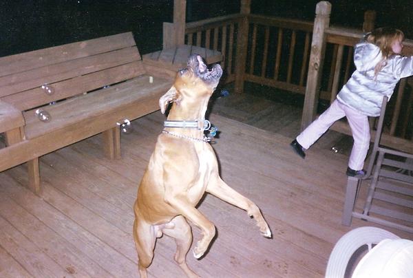 Cooper's Birthday
