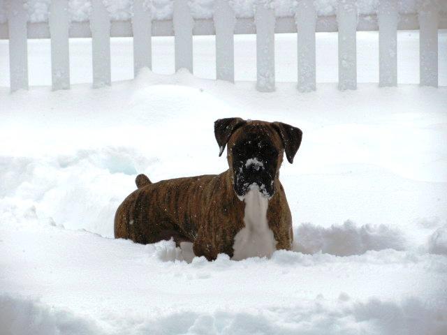 CooperSnow