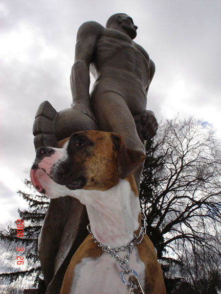 Copper in front of Sparty at Michigan State University