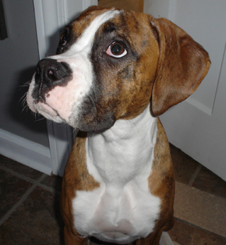 copper