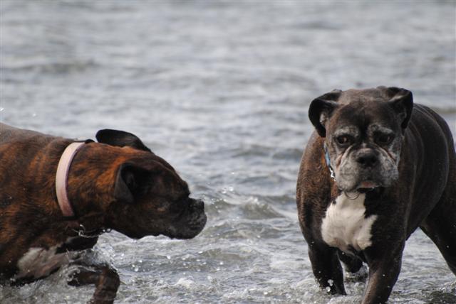 Copy_of_march_2011_056_Small_