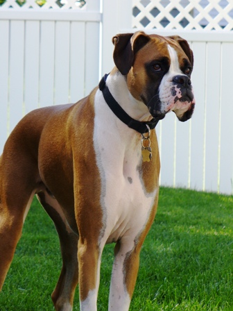 Cora_5_weeks_048x2