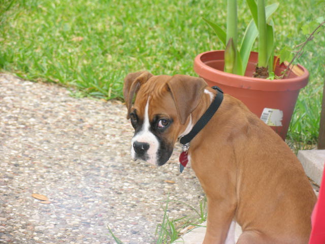 Cori Stubborn